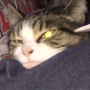 Meet your Posher, Smiley